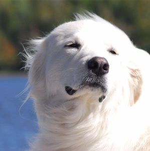 Meet your Posher, Denise